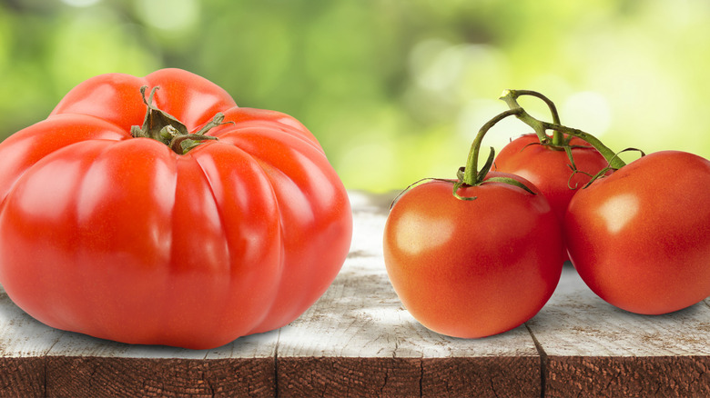 beefsteak and tomatoes on the vine