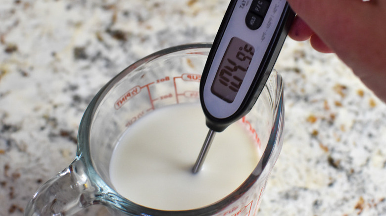 milk with a thermometer