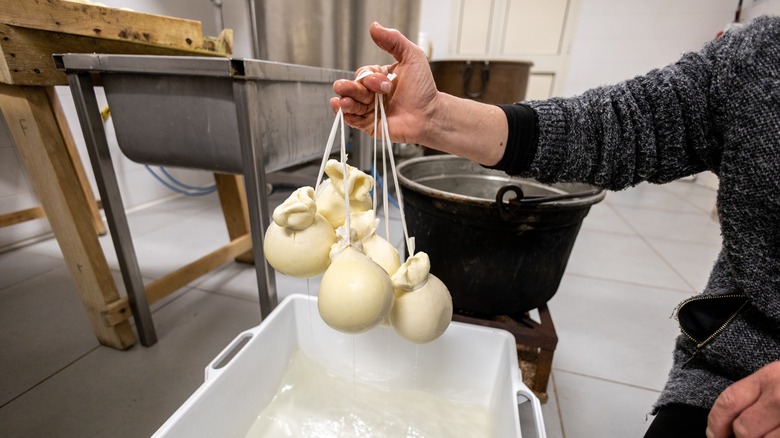 woman holding Caciocavallo Podolico cheeses