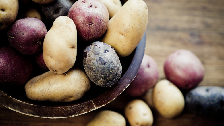 different coloured fingerling potatoes