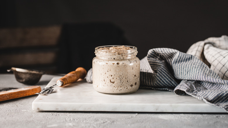 sourdough starter