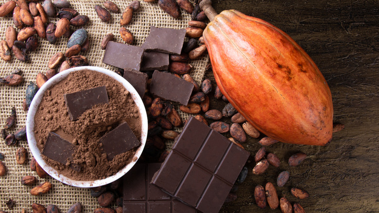 chocolate bar, cocoa pod, and cocoa powder