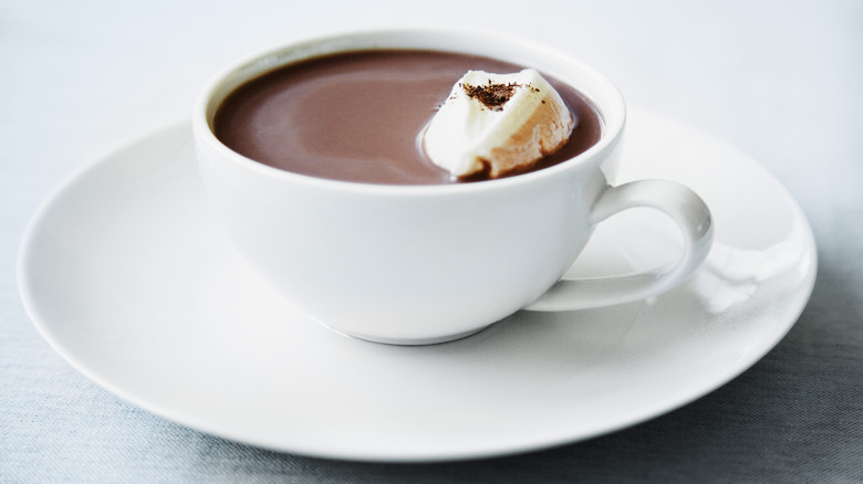 mug of hot chocolate with a marshmallow