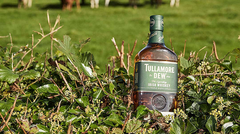 Bottle of Tullamore D.E.W. Original