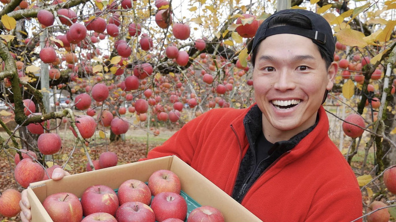 Bayashi with apples