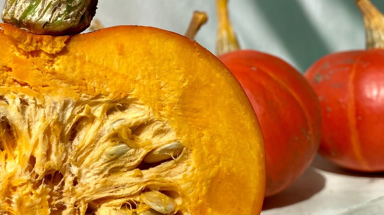 closeup of halved red kuri squash