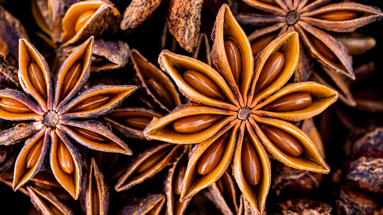 Dried star anise spice