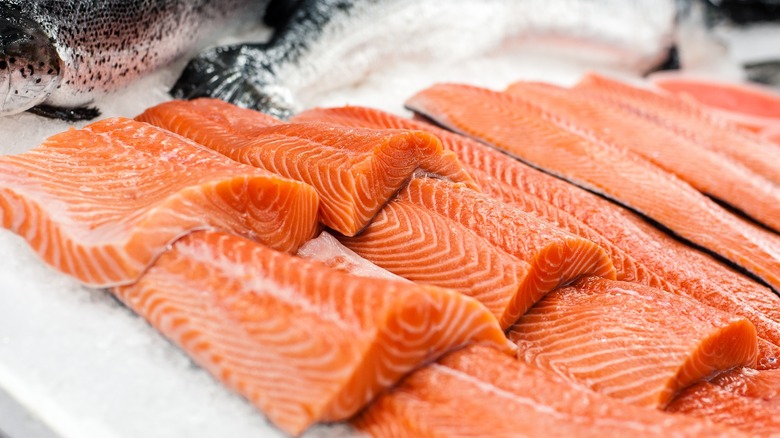 Fresh salmon fillets