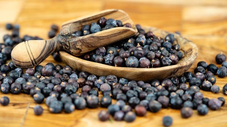 Dried juniper berry in bowl