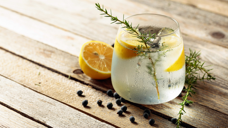 gin cocktail with lemon and botanicals