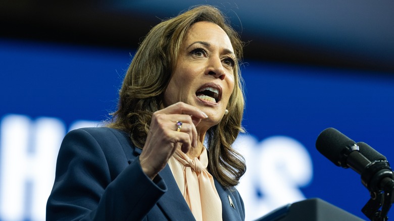 Kamala Harris speaking at rally