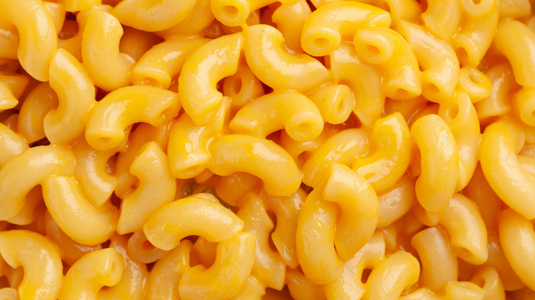 Close-up on mac and cheese