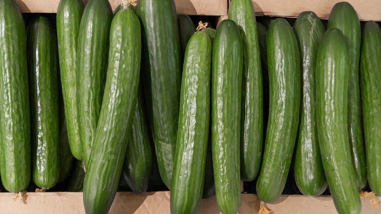 A line of cucumbers.