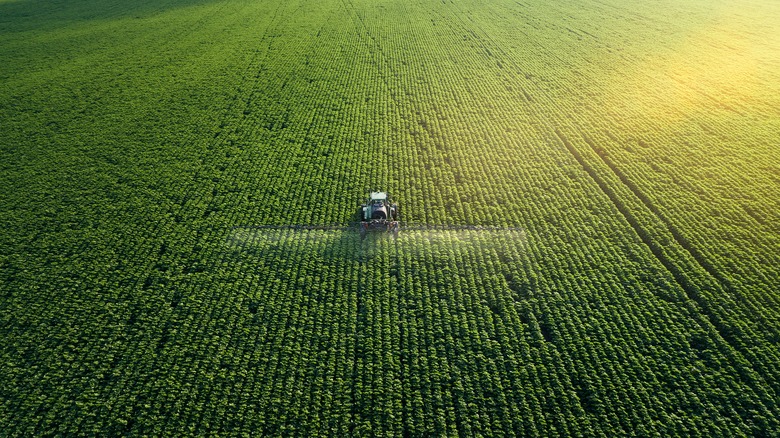 tractor in farmed field