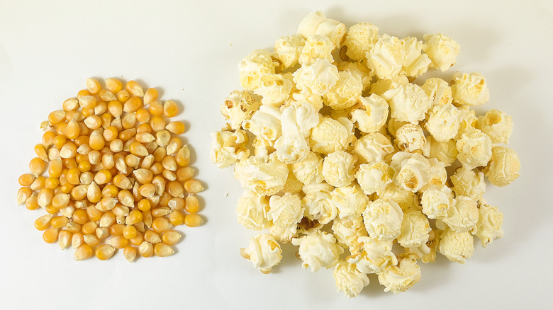 Mushroom popcorn: kernel & popped