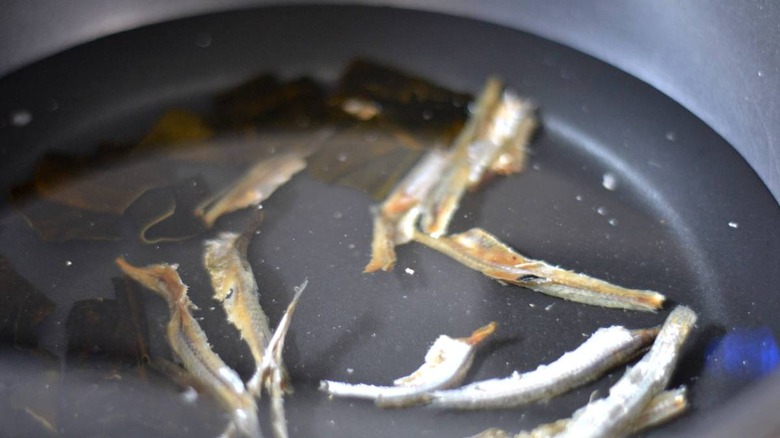 anchovies and kelp in water