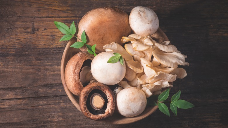 variety of mushrooms