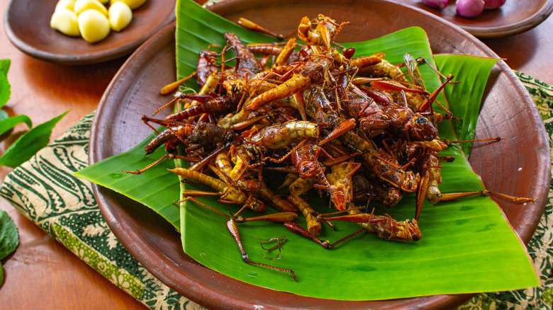 Fried grasshoppers on leaves plate