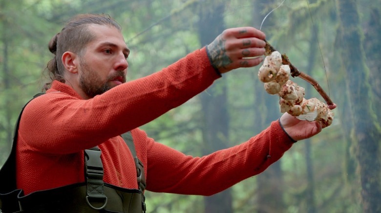 Mushroom harvest on Chefs vs. Wild