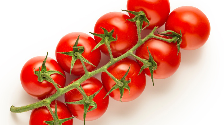 Cocktail tomatoes on the vine