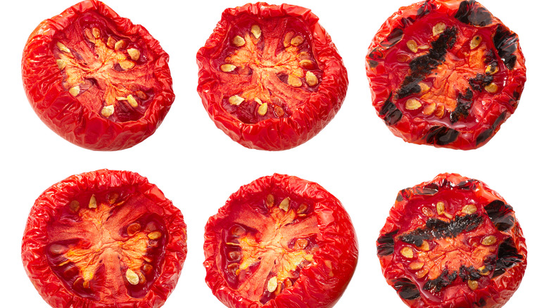 Grilled globe tomato halves on white background