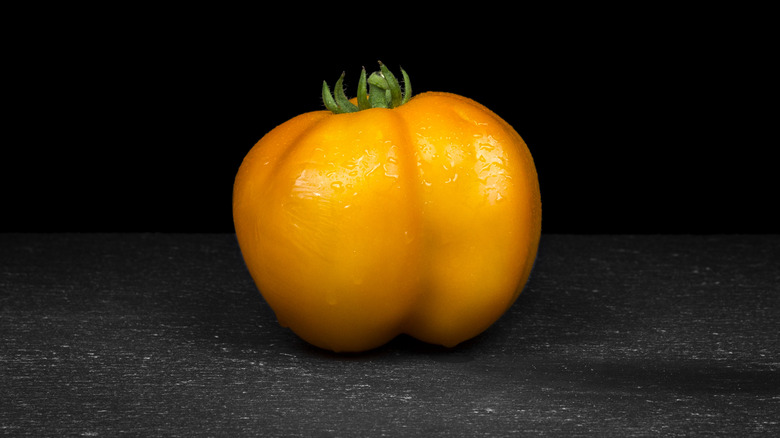 Yellow stuffer tomato on black background