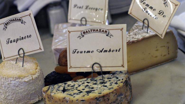 cheeses with labels