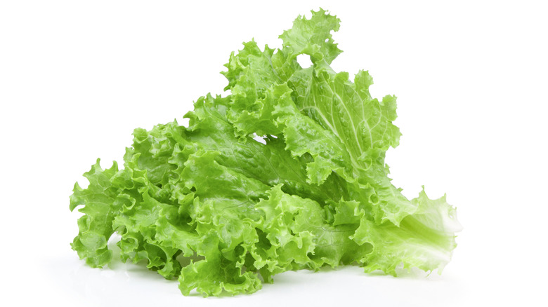 Salad greens on white background