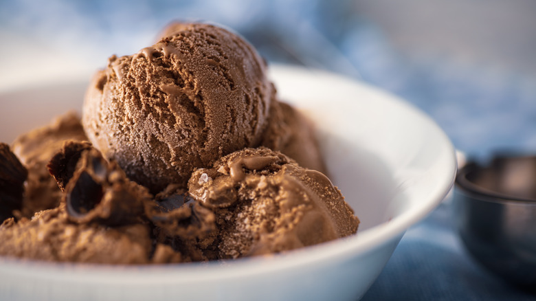 chocolate ice cream served in bowl