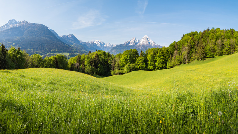 Bavarian countryside