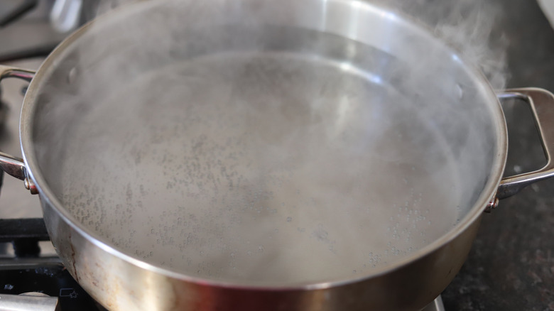 water boiling in a pot