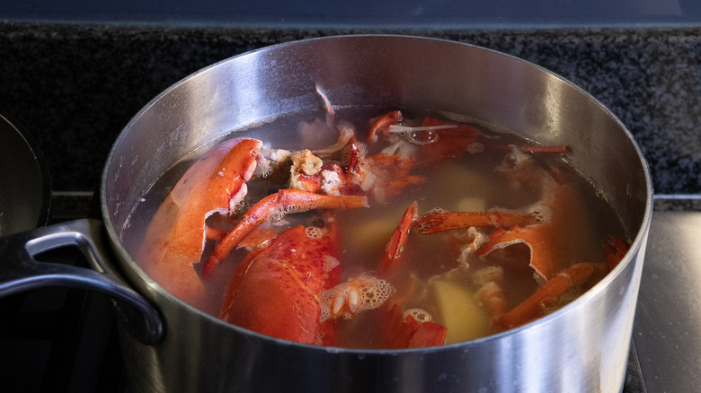 Stockpot of lobster shells and potatoes