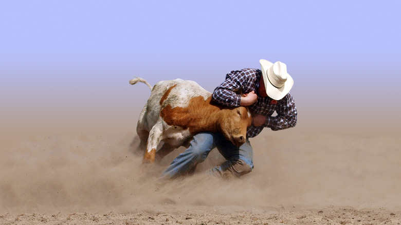 American cowboy, Texas longhorn steer
