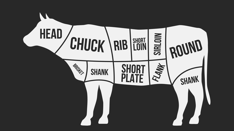 meat diagram of cow