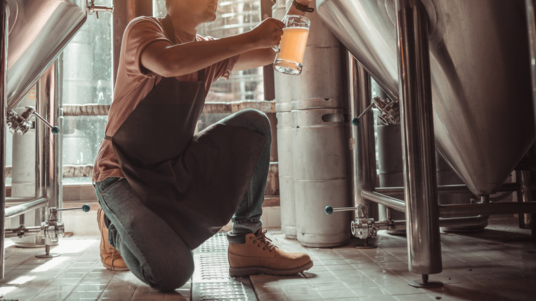 Brewer testing beer sample tap