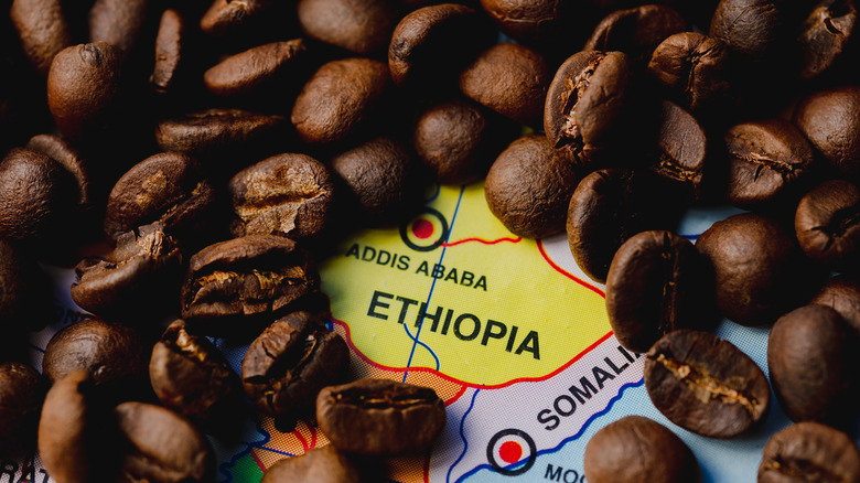 Ethiopian coffee beans 