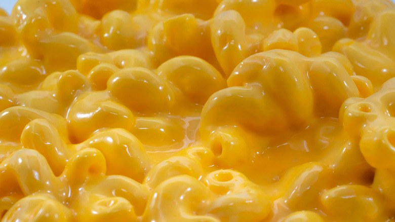 mac and cheese close up