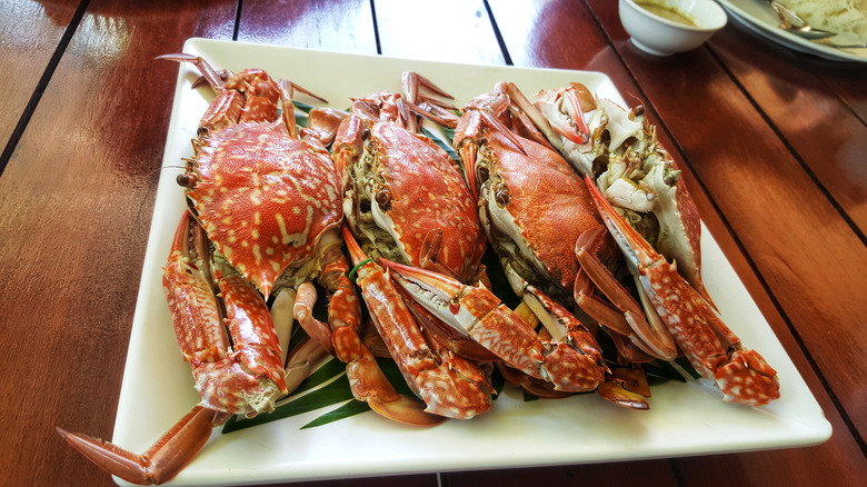 soft shell crabs displayed on plate