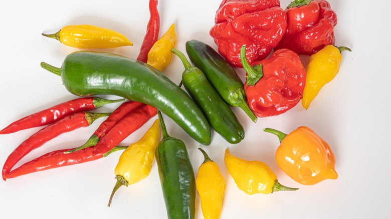 different types of peppers
