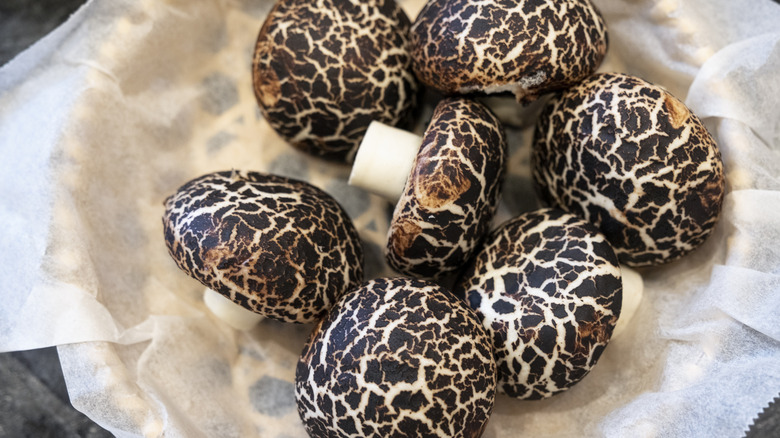 chocolate covered marshmallow mushrooms