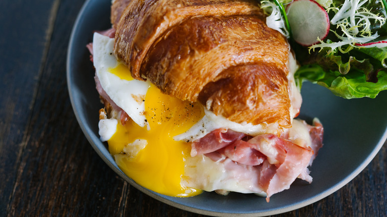 croque madame sandwich on croissant