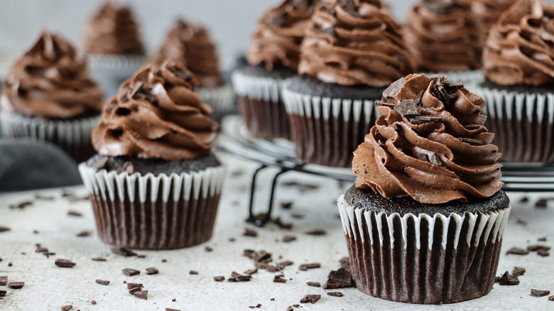 chocolate cupcakes with frosting