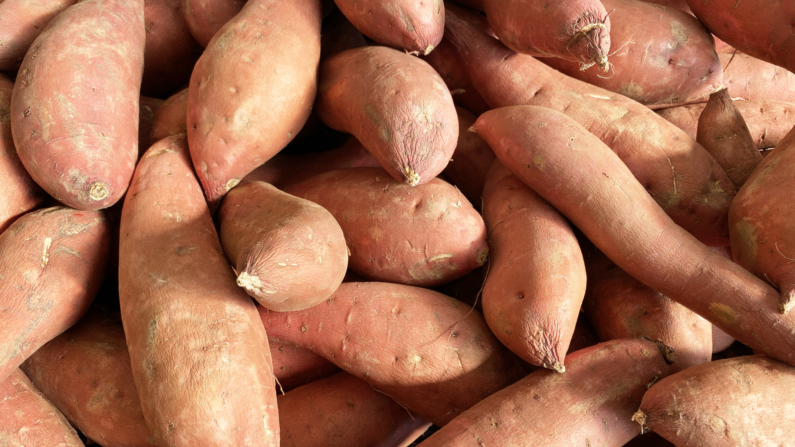 A guide to sweet potato varieties: How to choose, prep and store them