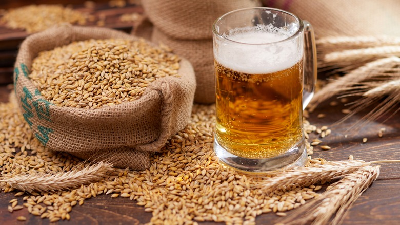 Malt Beer Vs Liquor: The Differences You Should Know