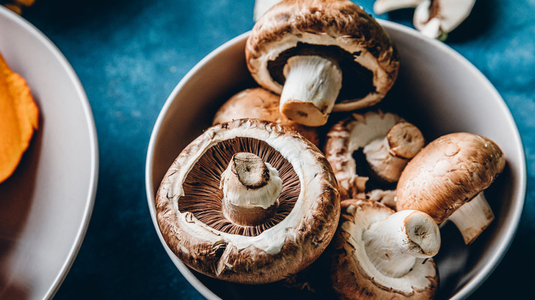 bowl of mushrooms