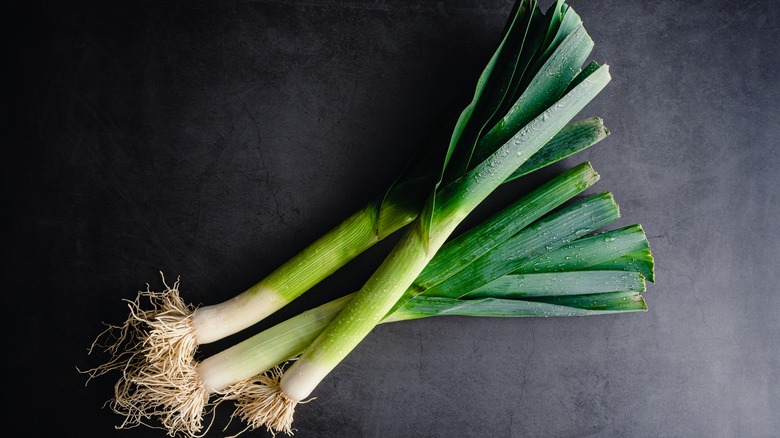 Leeks on dark background