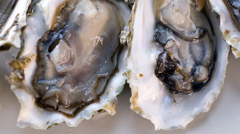 Olympia oysters on half shell