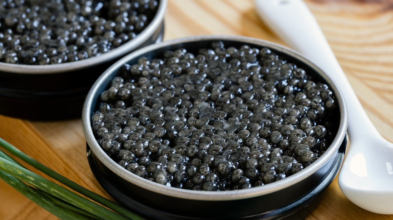 Tins of caviar with spoon