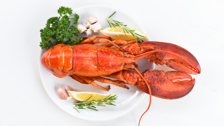 Lobster dinner on plate