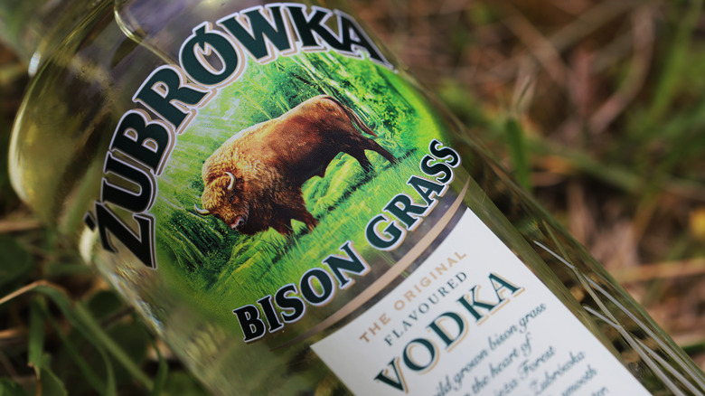 Bottle of Zubrowka Vodka